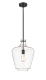 493-1S-BK-G502-12 Stem Hung 12" Matte Black Mini Pendant - Clear Lowell Glass - LED Bulb - Dimmensions: 12 x 12 x 16.25<br>Minimum Height : 25.25<br>Maximum Height : 49.25 - Sloped Ceiling Compatible: Yes