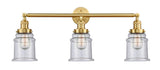 205-SG-G184 3-Light 30" Satin Gold Bath Vanity Light - Seedy Canton Glass - LED Bulb - Dimmensions: 30 x 9 x 10 - Glass Up or Down: Yes