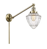 1-Light 7" Bullet Swing Arm With Switch - Schoolhouse Seedy Glass - Choice of Finish And Incandesent Or LED Bulbs