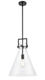 411-1S-BK-14CL-LED 1-Light 14" Newton Cone Matte Black Pendant - Clear Newton Cone Glass