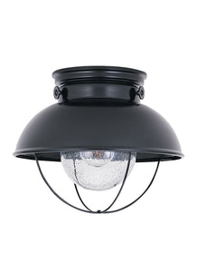 8869-12 Sebring Black 1-Light Outdoor Ceiling Flush Mount